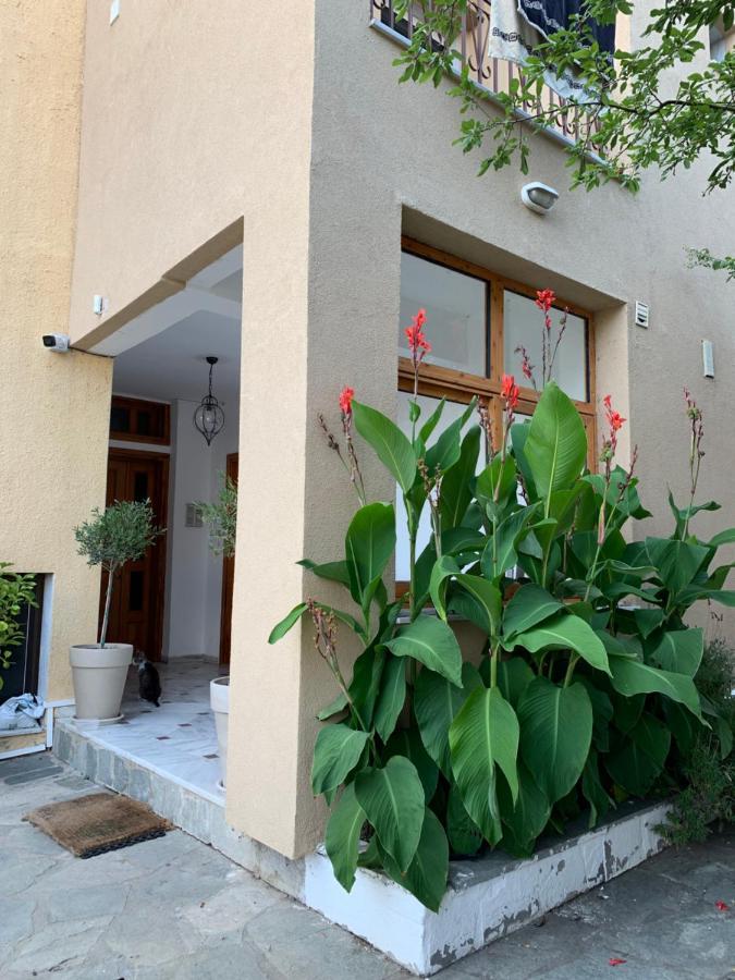 Hapinness Seaview Palaiontsiflikion Exterior photo